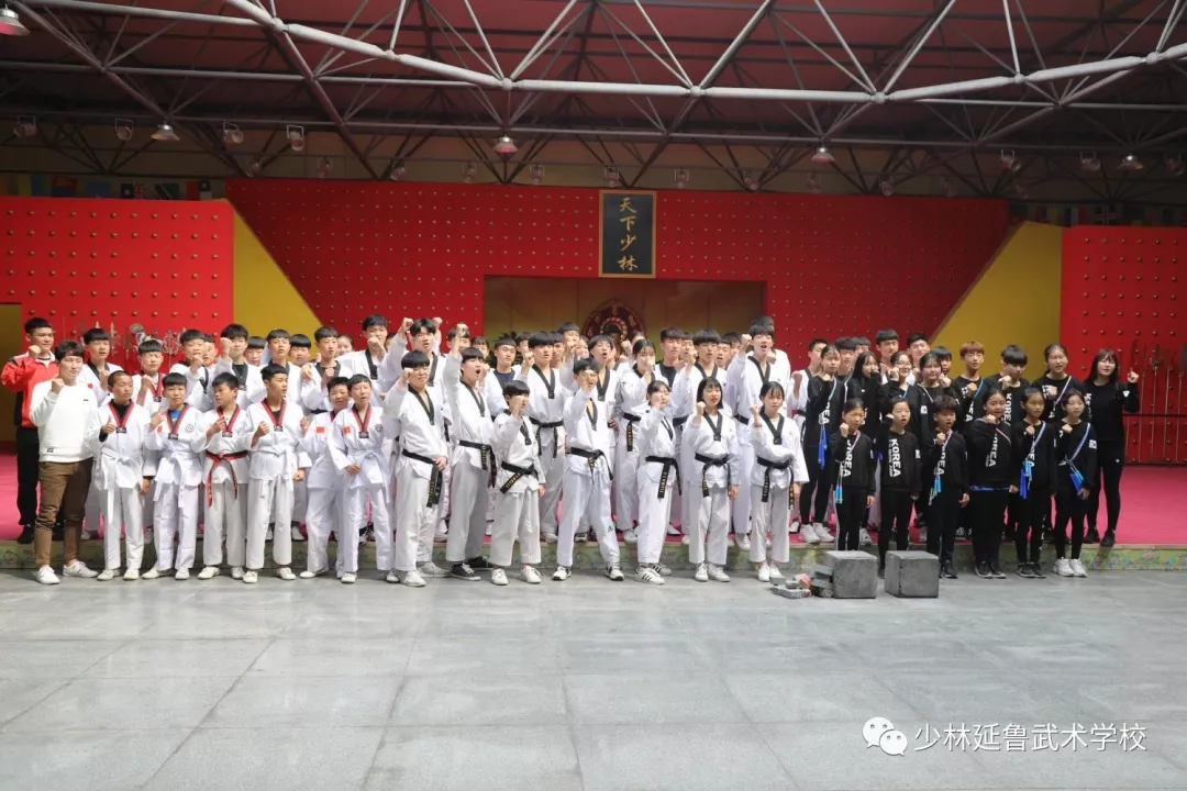 跆拳道选手抢眼上阵尽显绝技