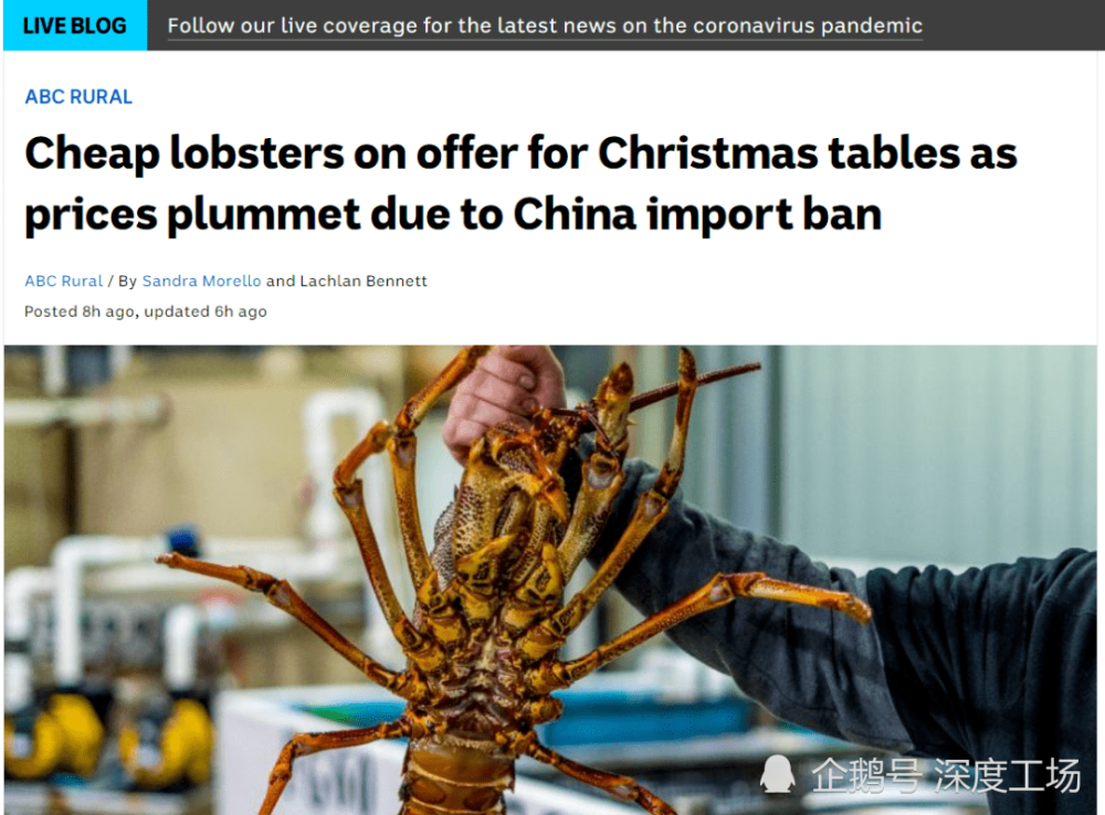 汉堡联队主场难求胜利，球迷呼吁团结支持