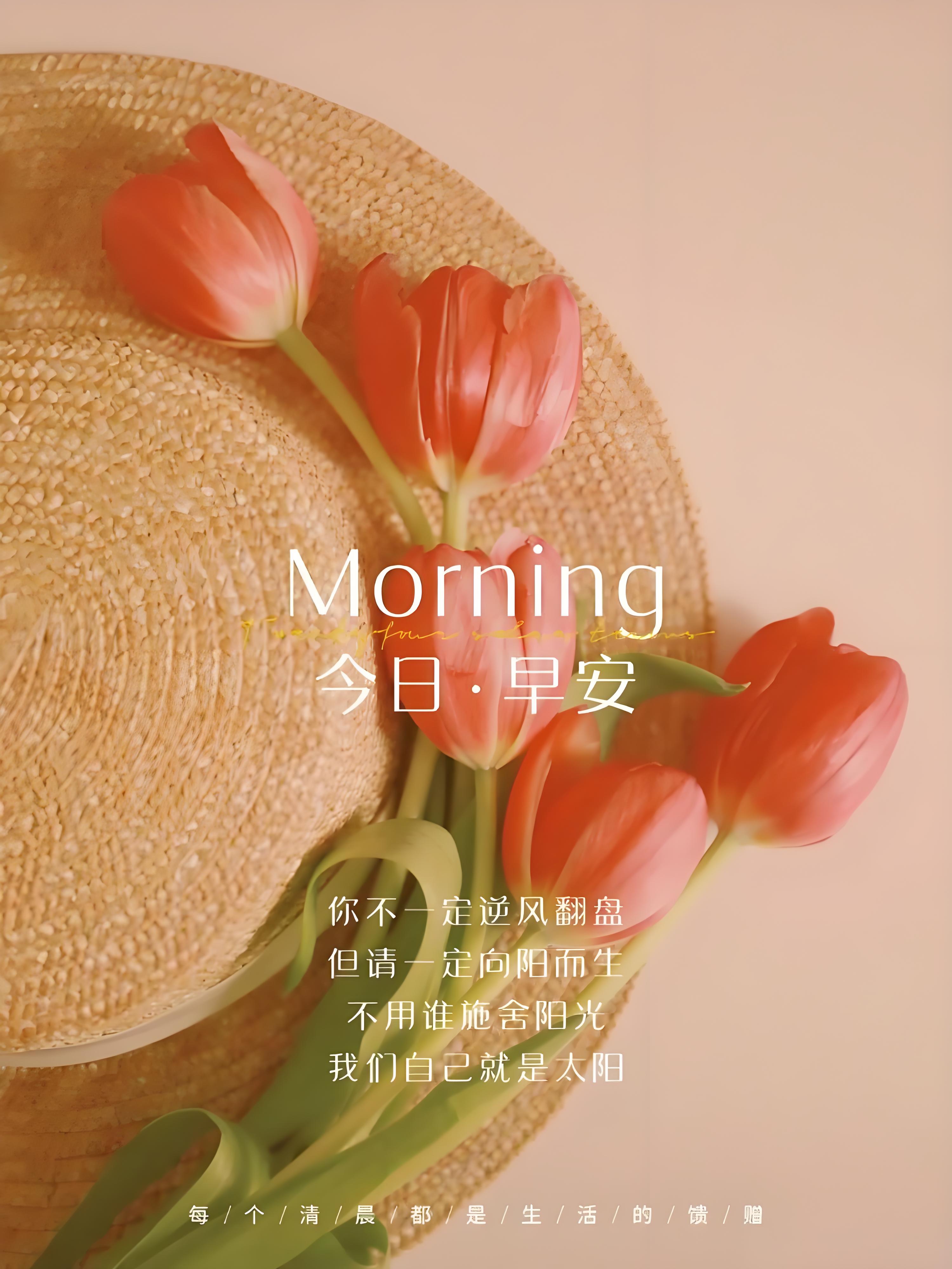 向阳而生！球队撂下翻盘，昂然前进的简单介绍