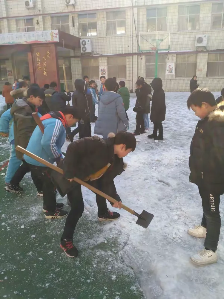 赛场上的精彩瞬间定格永恒的记忆