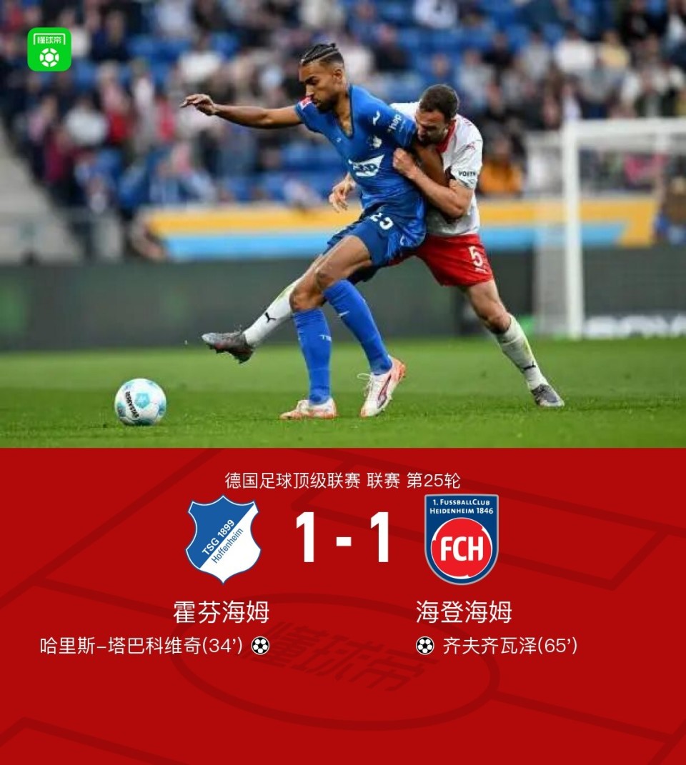 开云平台-霍芬海姆客场失分,降级困境加重球队压力
